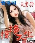 驚豔人生